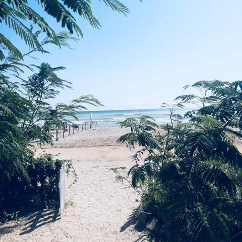 Casa de Mare - Poza 008