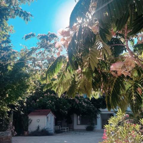 Casa de Mare - Poza 034