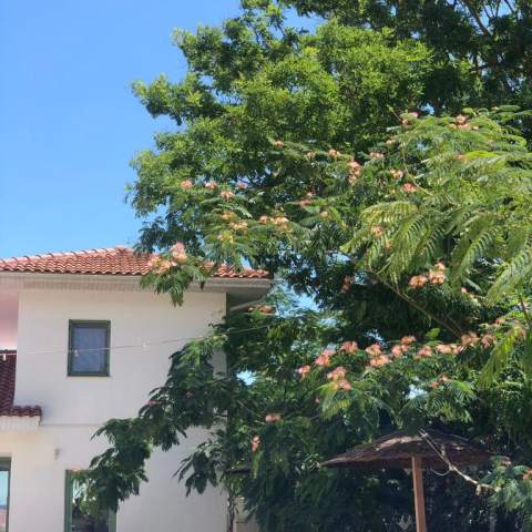 Casa de Mare - Poza 035