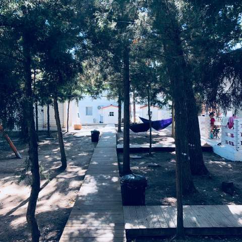 Casa de Mare - Poza 042