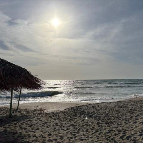 Casa de Mare 250214 - Poza 001