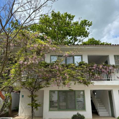 Casa de Mare 250214 - Poza 009