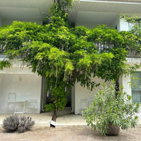 Casa de Mare 250214 - Poza 011