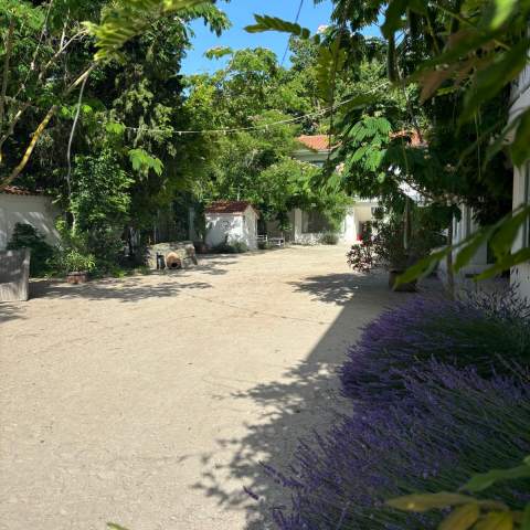 Casa de Mare 250214 - Poza 018